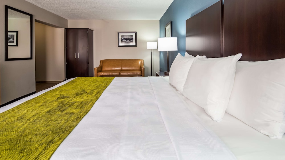 Suite, 1 King Bed, Non Smoking, Refrigerator & Microwave (with Single Sofabed) - Photo 1