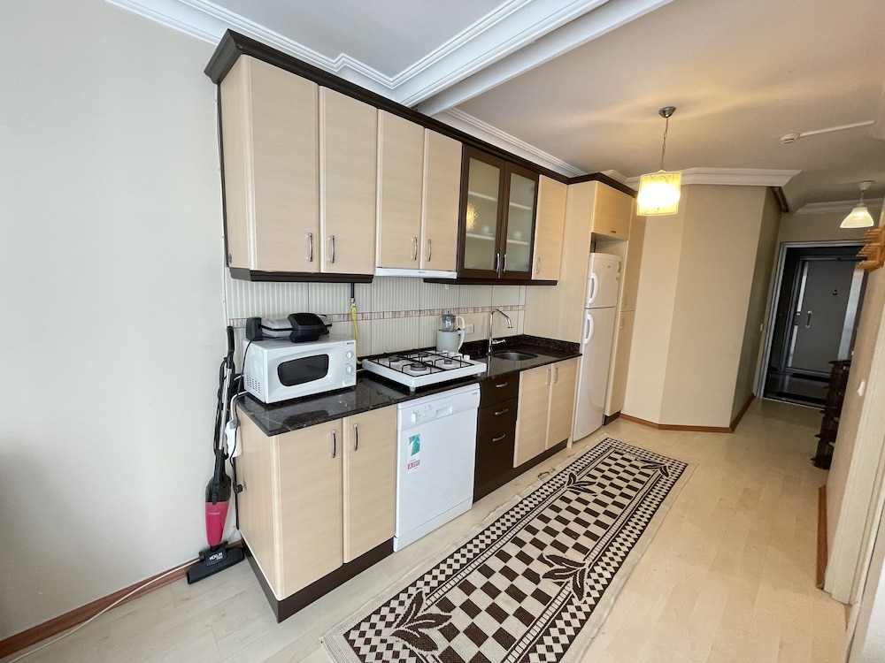 Family Apartment, 1 Bedroom, Kitchen photo 3