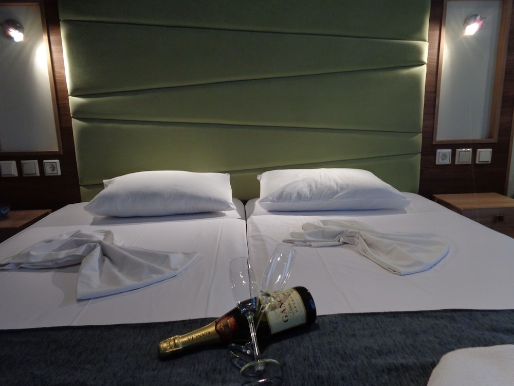 Double or Twin Room photo 3