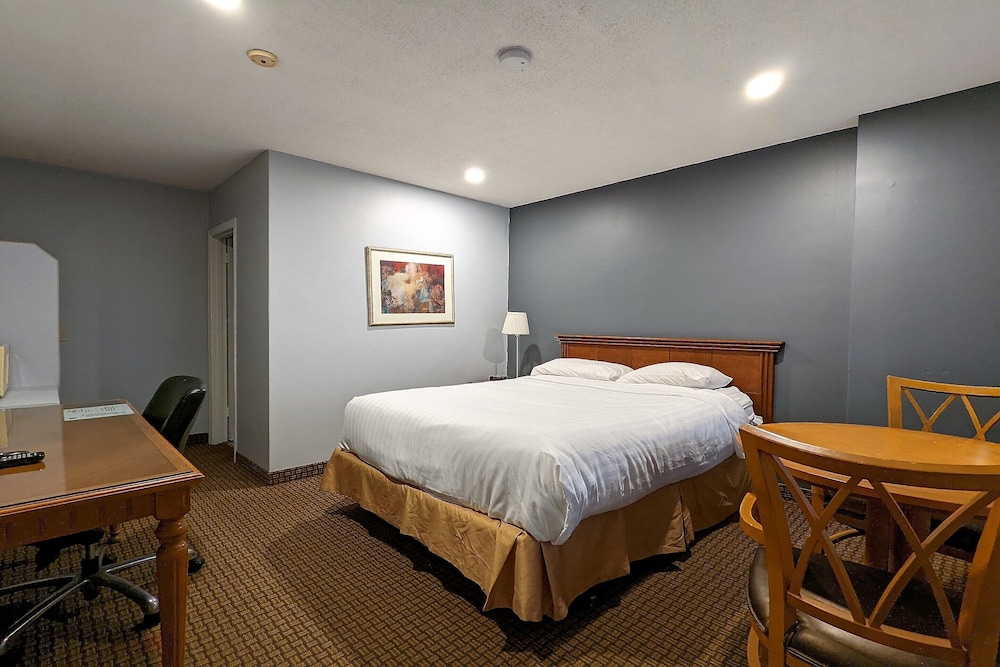 Single Room, 1 Queen Bed