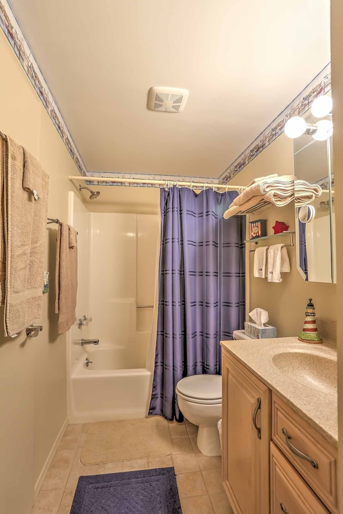 Apartment (1 Bedroom) photo 3