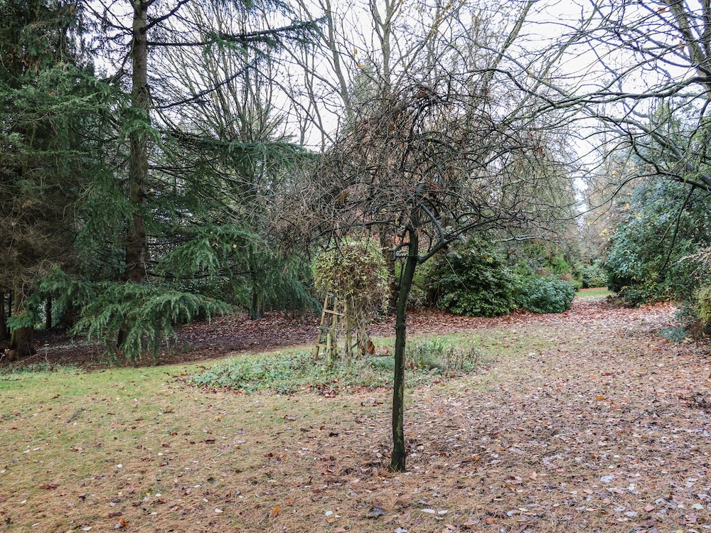 Cottage photo 1