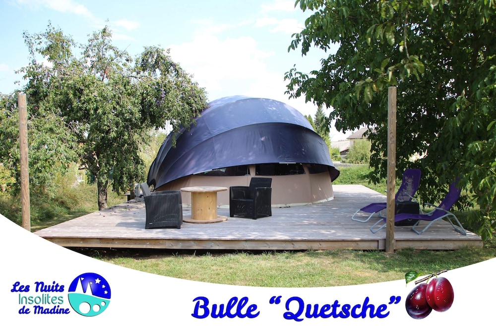 Bulle Quetsch photo 2