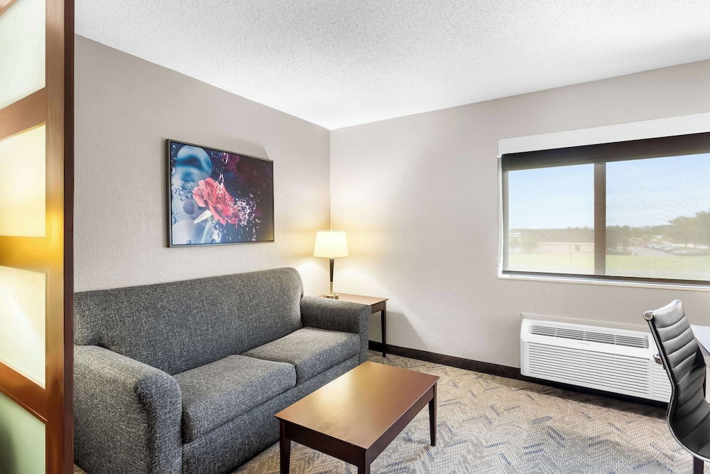 Suite, 1 King Bed, Non Smoking, Refrigerator & Microwave (with Sofabed) - Photo 3