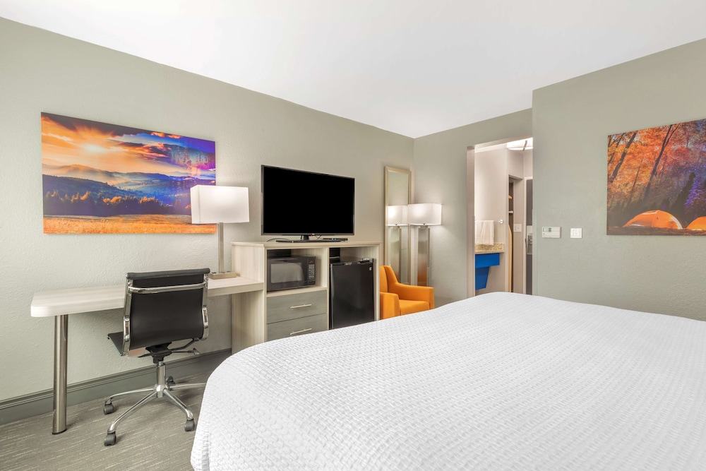 Standard Room, 1 King Bed, Accessible, Refrigerator & Microwave - Photo 2