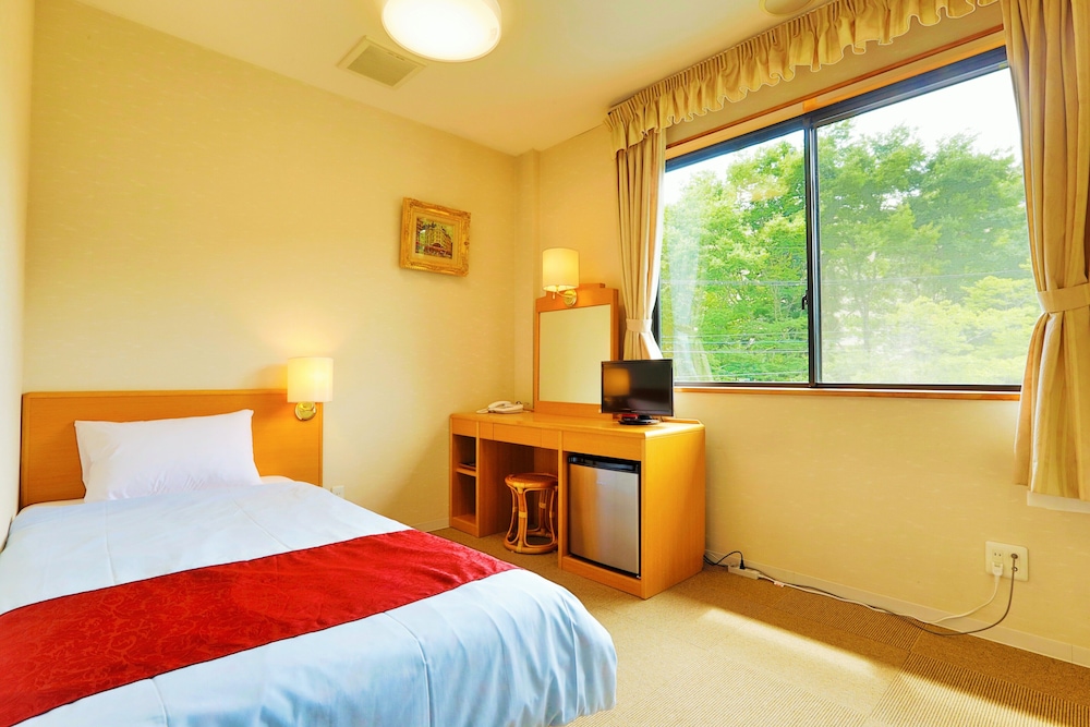 Single Room photo 1