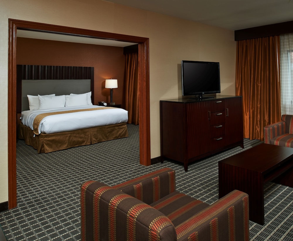Deluxe Suite, 1 King Bed, Non Smoking photo 2