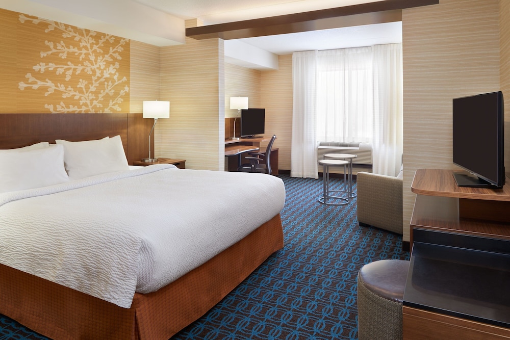 Suite, 1 King Bed with Sofa bed