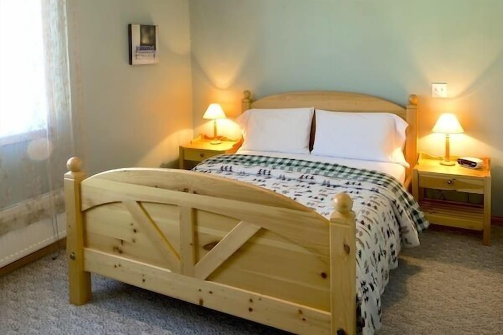 Room, 1 Queen Bed photo 1