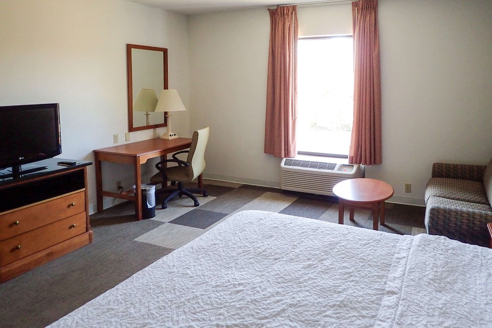 Room, 1 King Bed with Sofa bed, Non Smoking (Larger Unit)