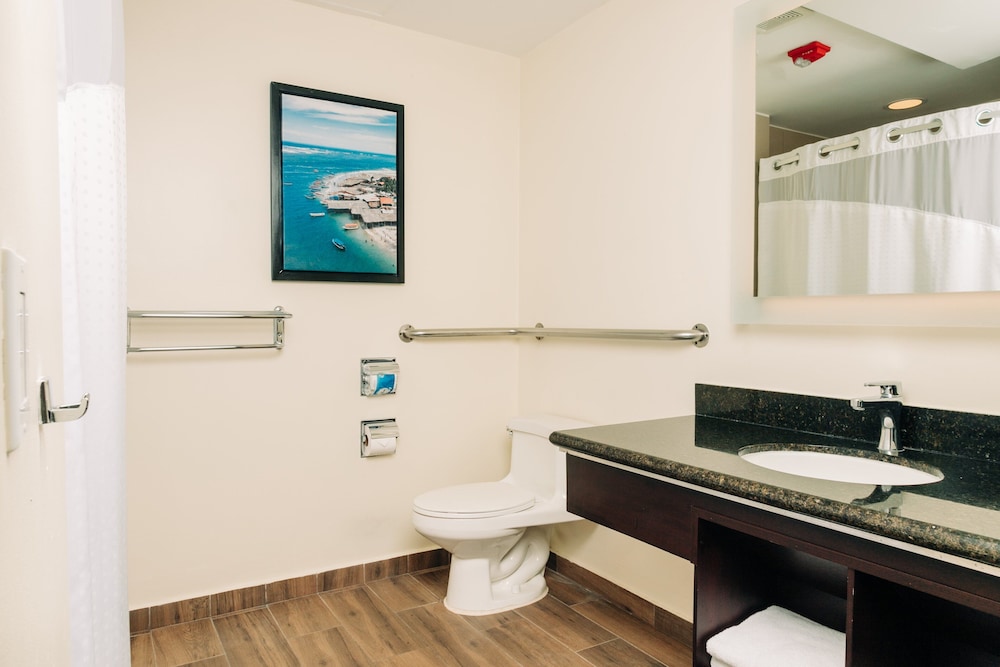 Standard Room, 1 King Bed, Accessible (Roll-In Shower) - Photo 1