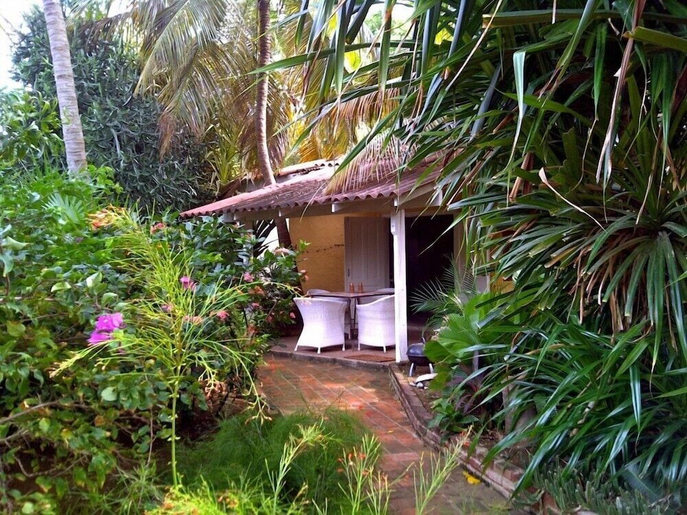 Classic Studio, 1 King Bed, Garden View photo 3