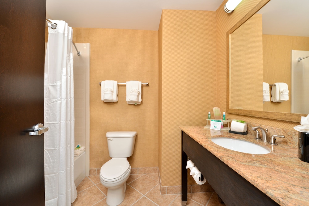Suite, 1 King Bed - Photo 5