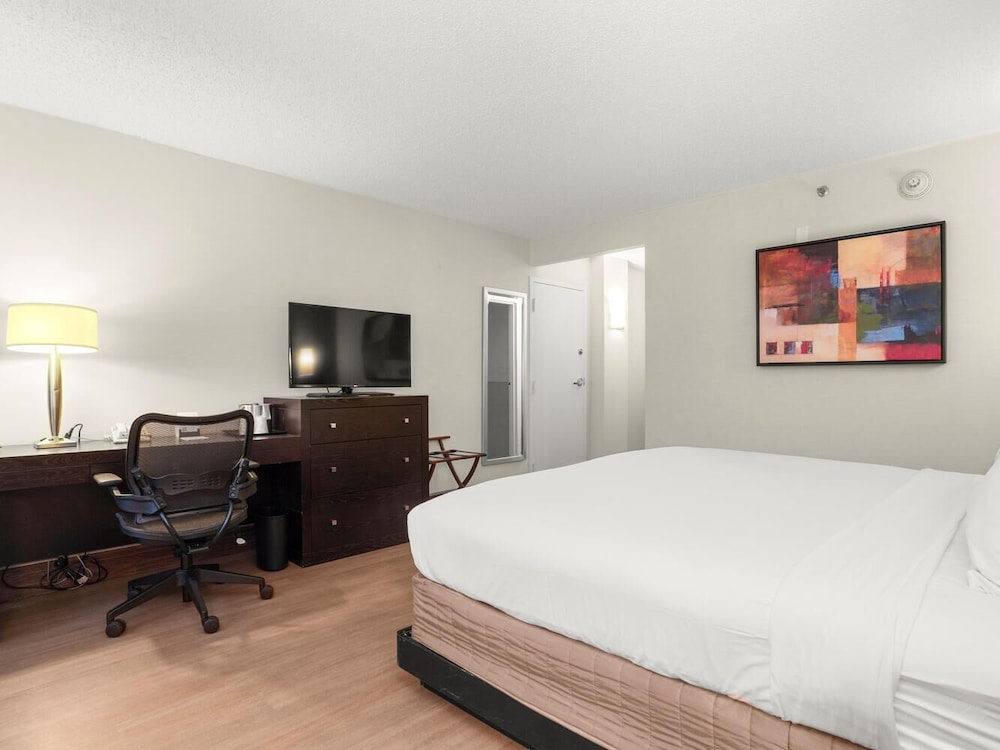 Basic Room, 1 King Bed - Photo 4