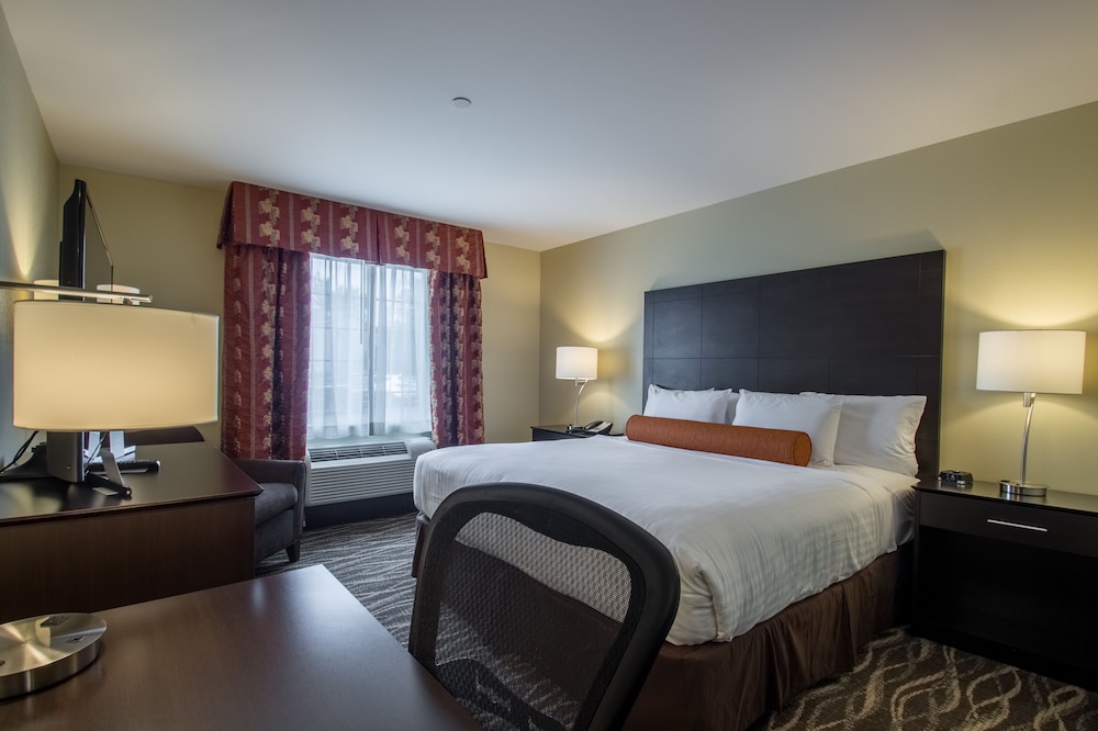 Studio Suite, 1 King Bed with Sofa bed, Non Smoking photo 2
