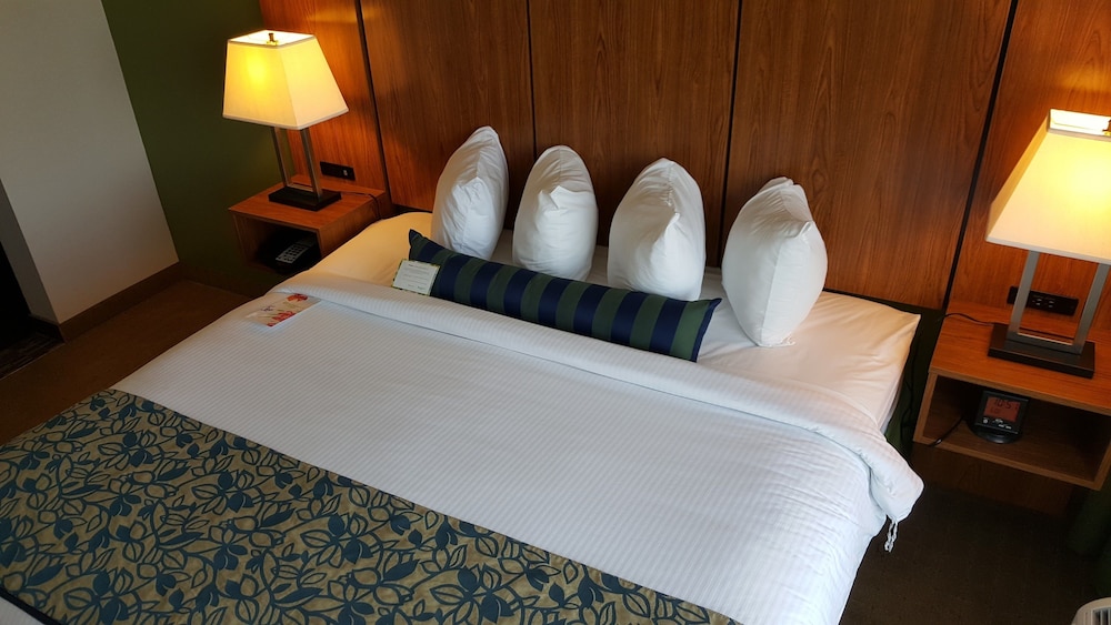 Deluxe Room, 1 King Bed, Non Smoking photo 3