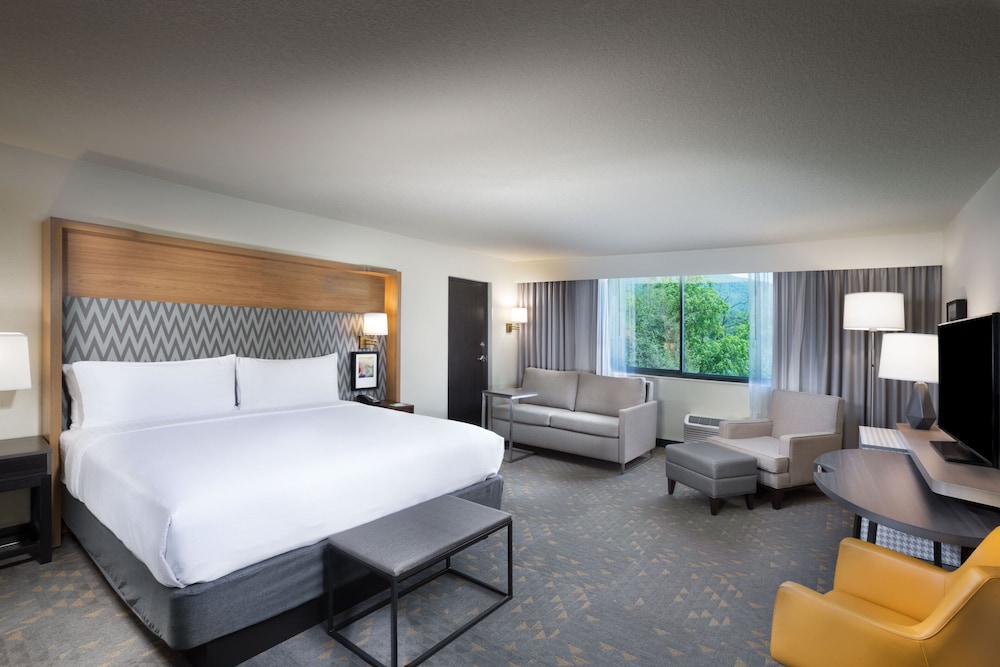 Suite, 1 King Bed, Mountain View photo 1