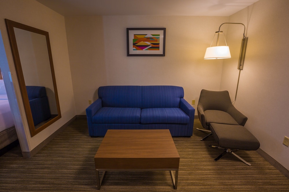 Suite, 1 King Bed, Accessible (MOBILITY) - Photo 2