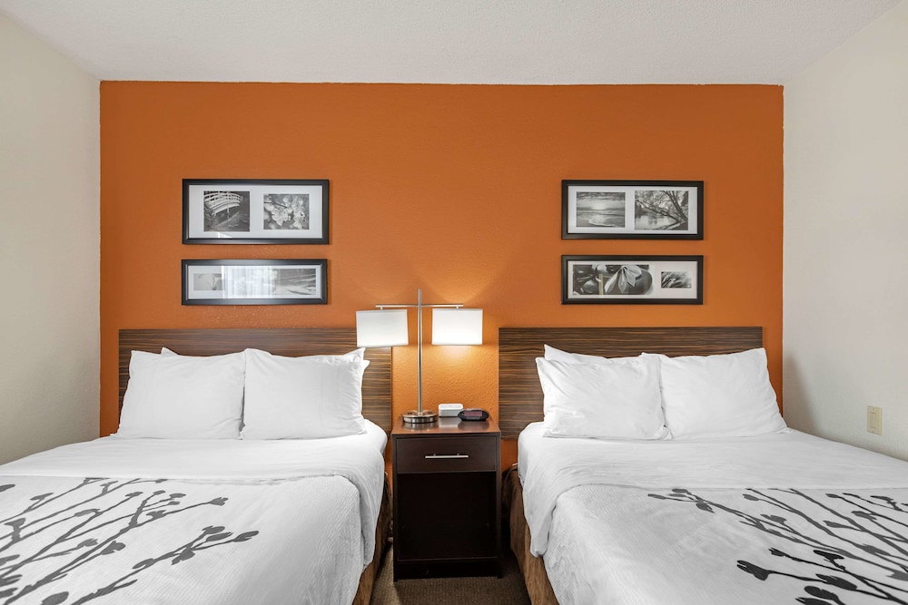 Standard Room, 2 Double Beds, Non Smoking, Refrigerator & Microwave - Photo 1
