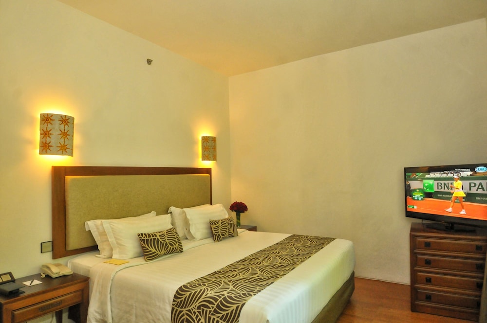 Suite Room - Photo 5