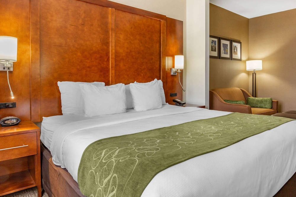 Suite, 1 King Bed, Non Smoking - Photo 4