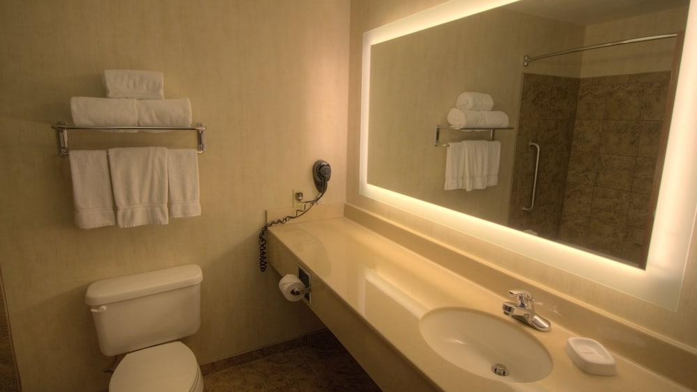 Standard Room, 1 King Bed, Accessible (Communication, Transfer Shower) - Photo 5