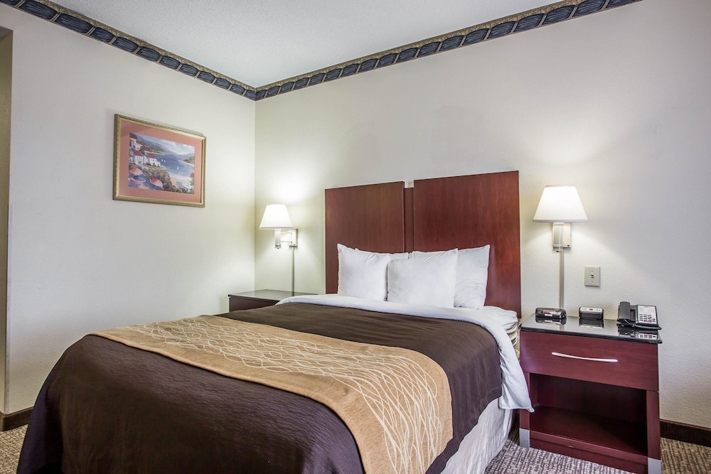 Suite (2 Queen and 1 Sofa bed) photo 2