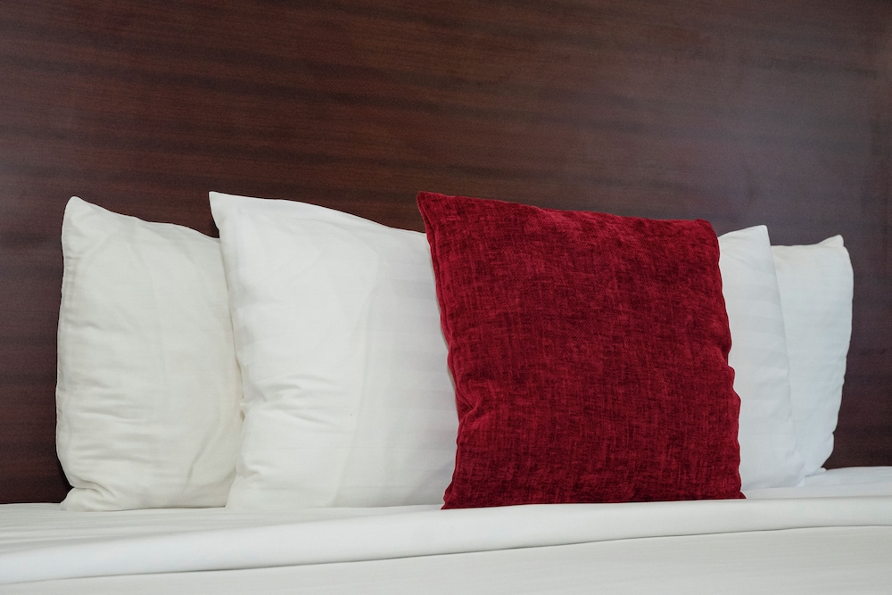 Comfort Single Room, 1 King Bed, Accessible, Non Smoking (42 inch TV) - Photo 5