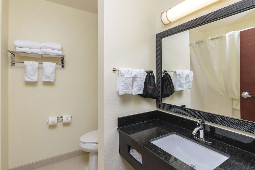 Standard Room, 1 King Bed, Non Smoking, Refrigerator & Microwave (with Sofabed) - Photo 7