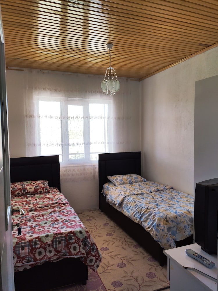 Comfort Double or Twin Room photo 1