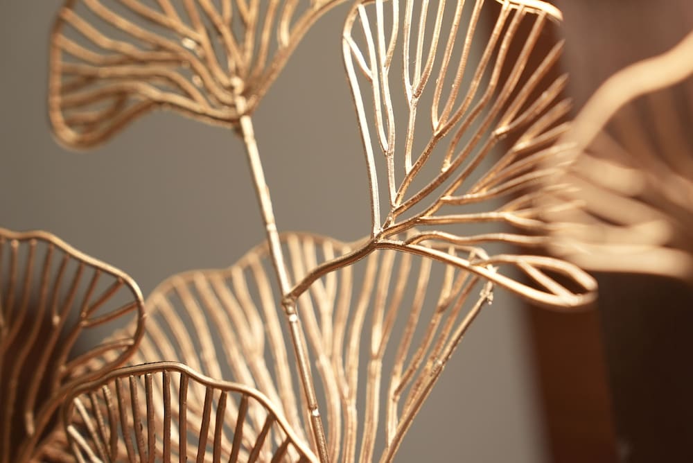 Family Studio - Photo 9