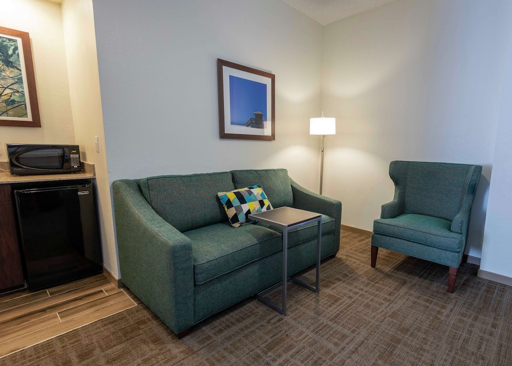 Suite, 1 King Bed, Accessible, Non Smoking (Roll-in Shower) - Photo 1
