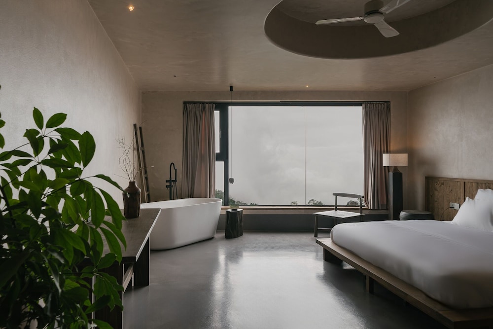 Deluxe Room, Mountain View