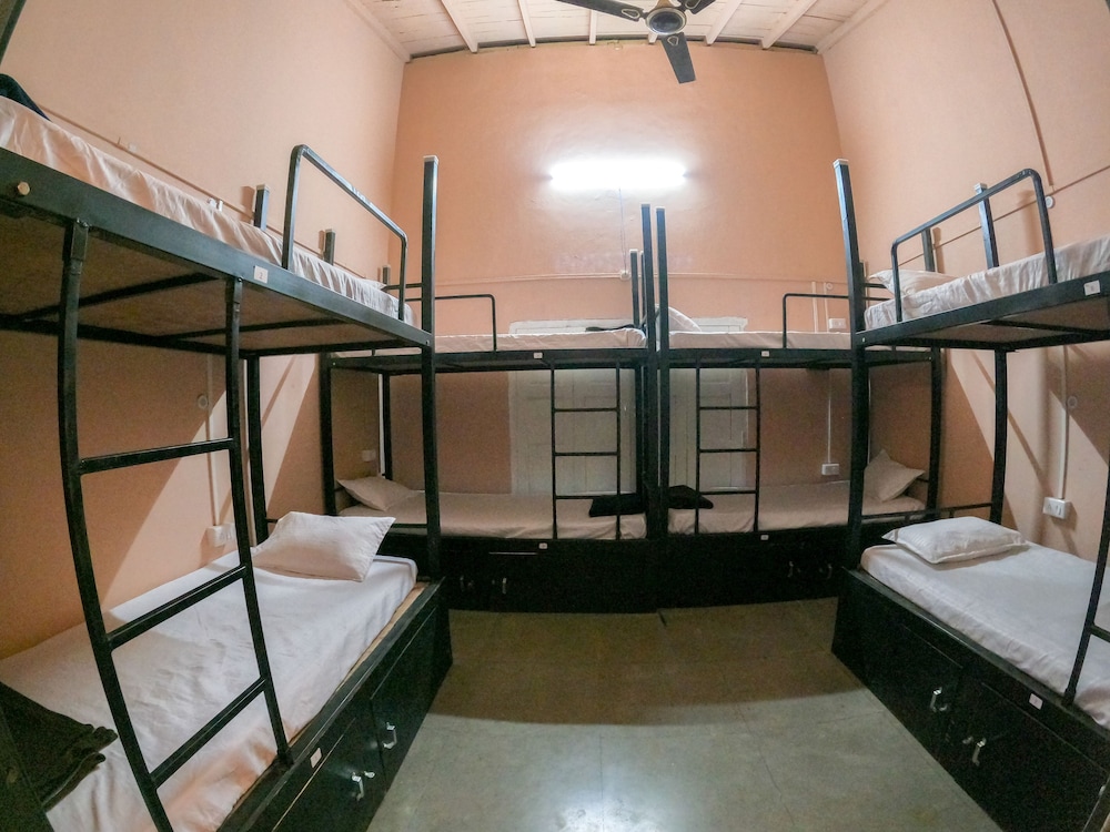 Standard Shared Dormitory, Mixed Dorm photo 2
