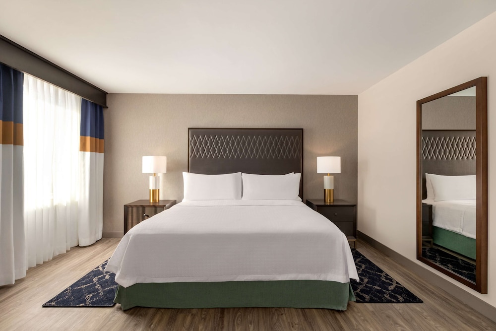 Studio, 1 King Bed, Accessible (Mobility & Hearing, Roll-in Shower) - Photo 4