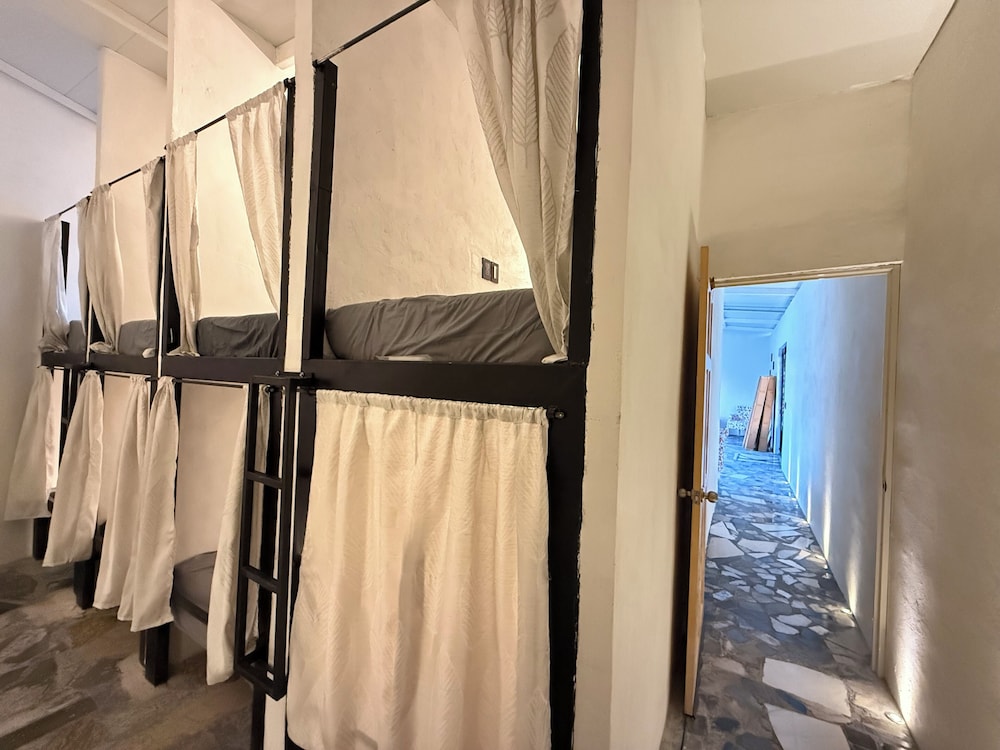 Classic Shared Dormitory photo 1