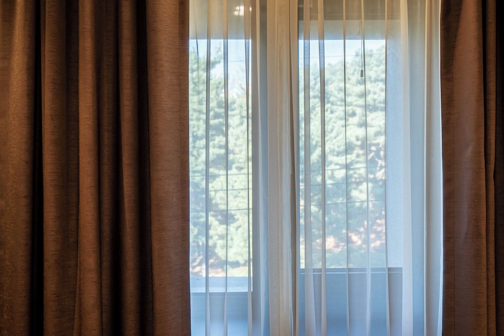 Deluxe Double Room, Park View photo 3