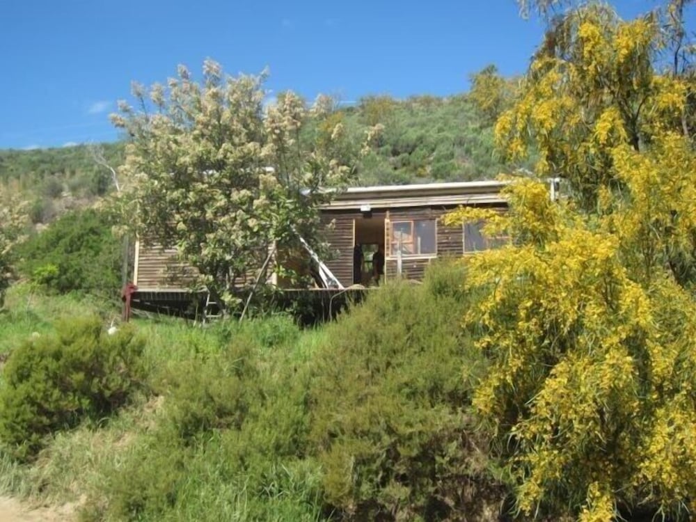 Riverside Cabin