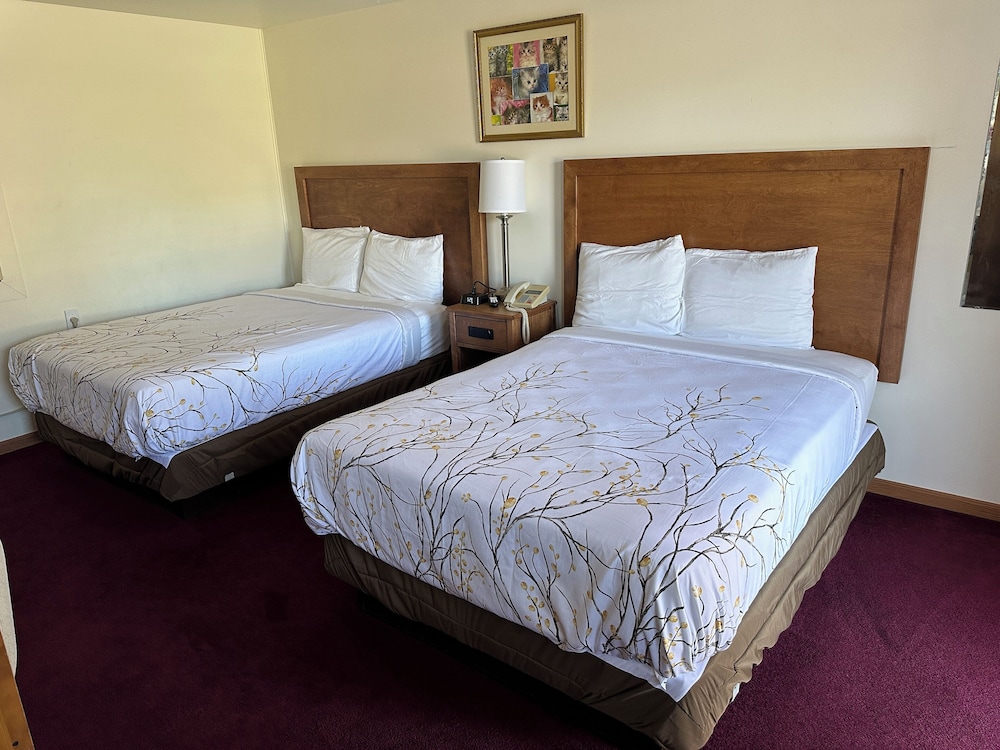 Basic Double Room photo 3
