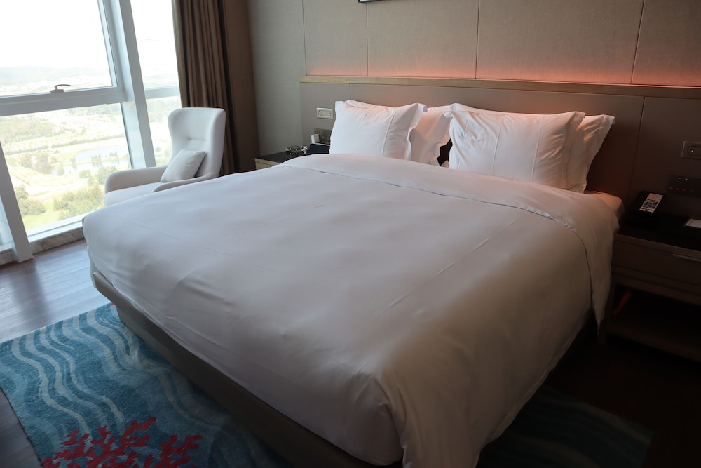 Executive Suite, 1 King Bed, Non Smoking photo 3