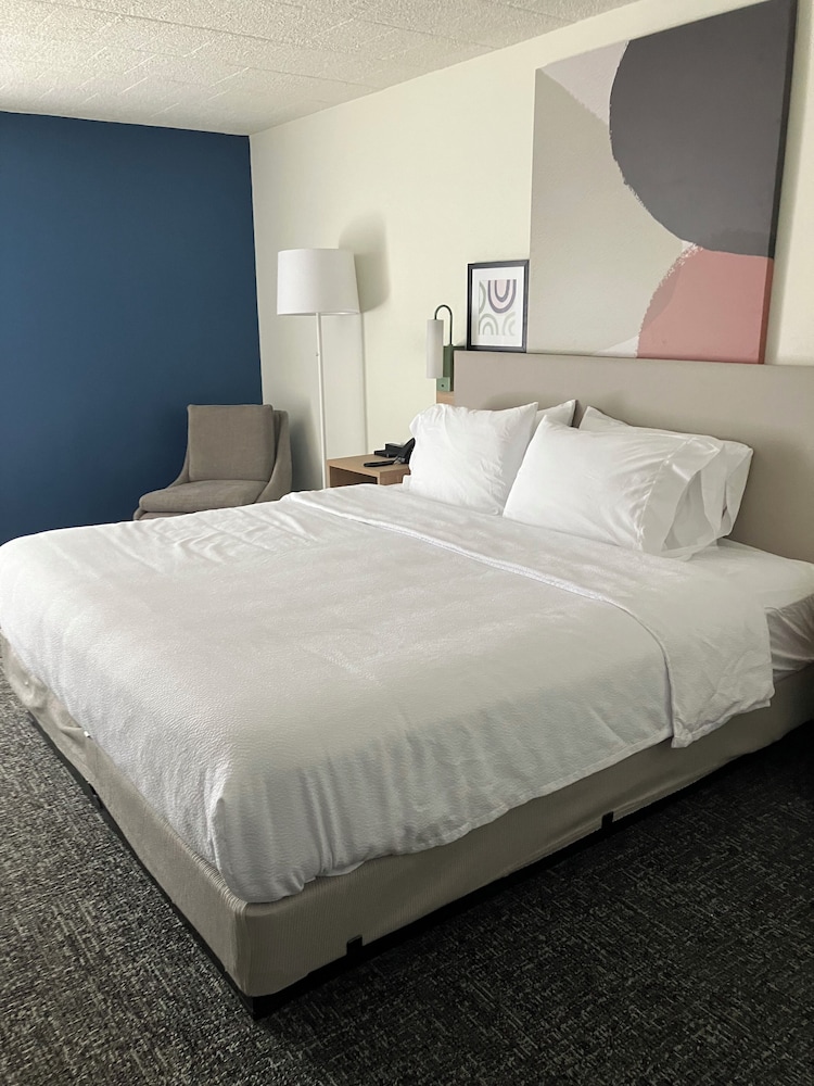 Room, 1 Queen Bed, Accessible (Mobility, Roll-In Shower) - Photo 2