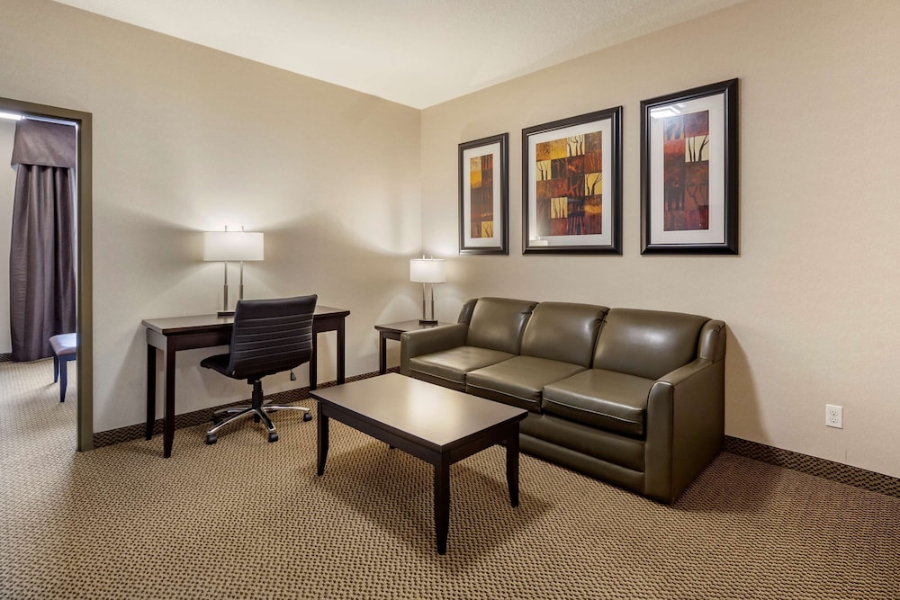 Suite, 1 King Bed, Non Smoking, Refrigerator & Microwave (Shower Only;with Sofabed)