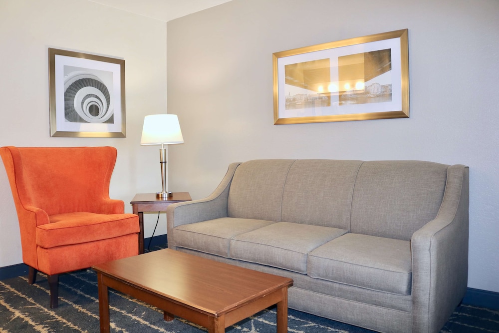 Standard Room, 1 King Bed, Non Smoking, Refrigerator & Microwave (with Sofabed) photo 1
