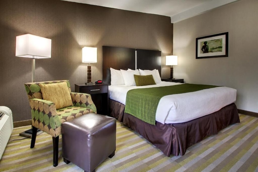 Room, 1 Queen Bed photo 1