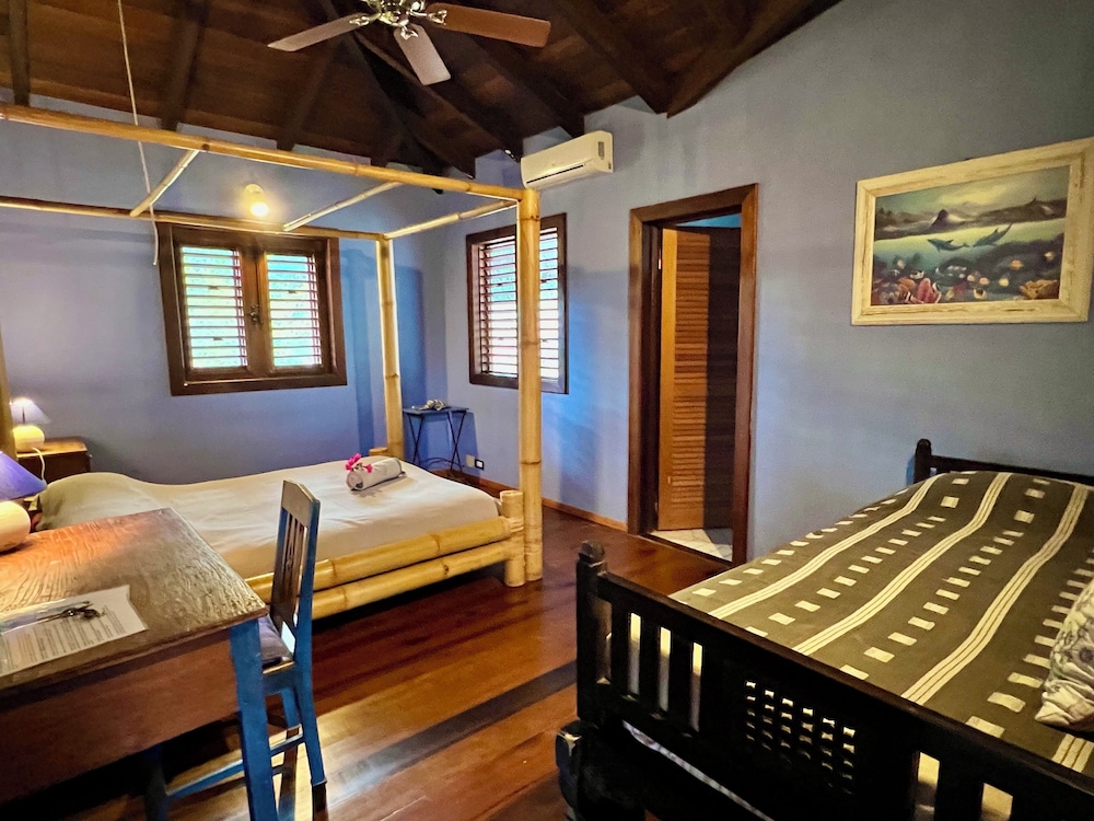 Room, 1 Queen Bed photo 2