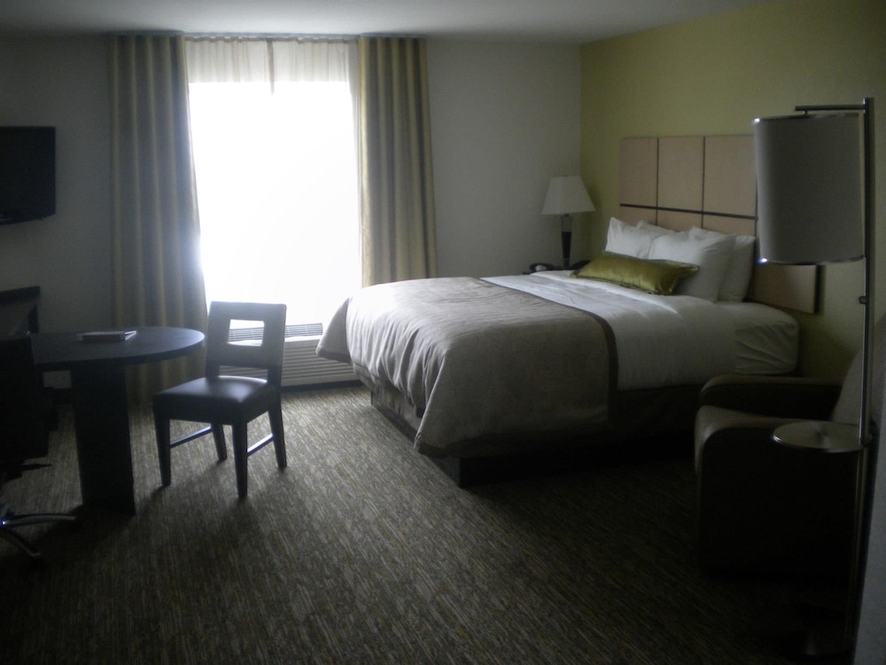 Studio Suite, 1 King Bed (Full Kitchen) photo 2