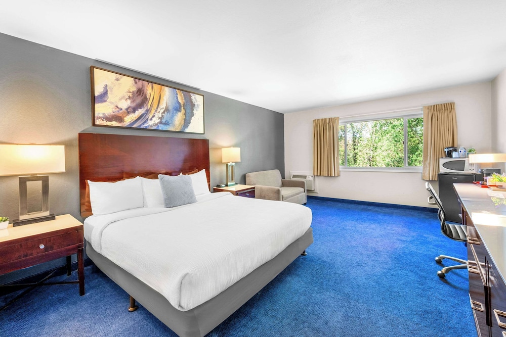 Standard Room, 1 King Bed, Non Smoking - Photo 1