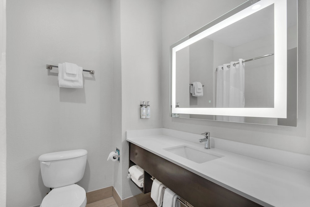Suite, 1 King Bed, Accessible (Communications Accessible) - Photo 10
