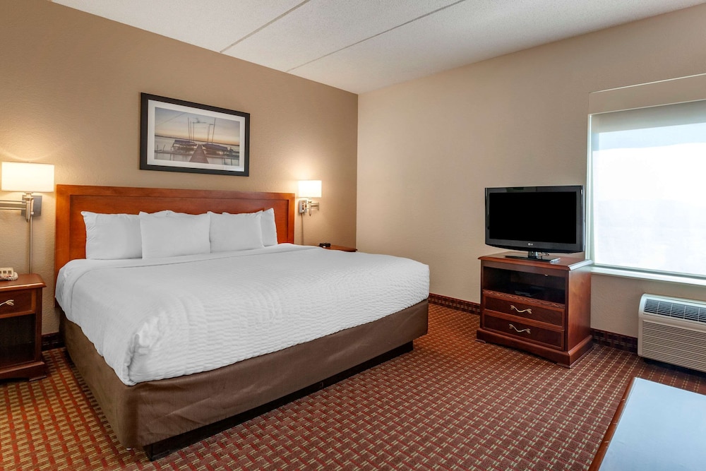 Business Suite, 1 King Bed, Non Smoking photo 1
