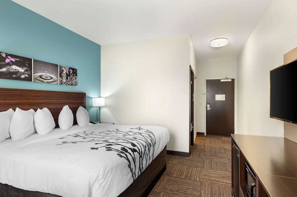 Room, 1 King Bed, Accessible, Non Smoking - Photo 1